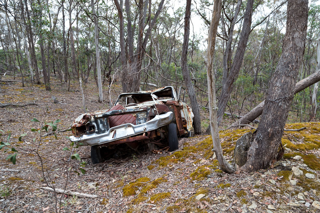 abandoned-car-wreck-steiglitz