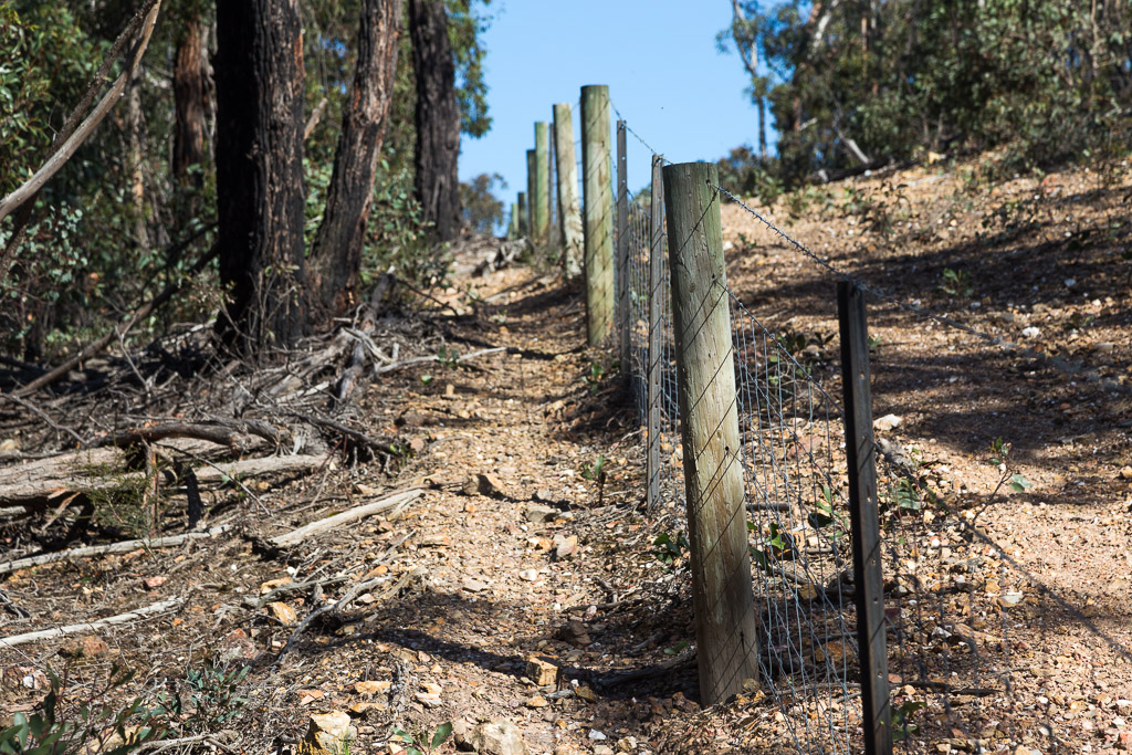 following-fence-line-hill-pyrete-range