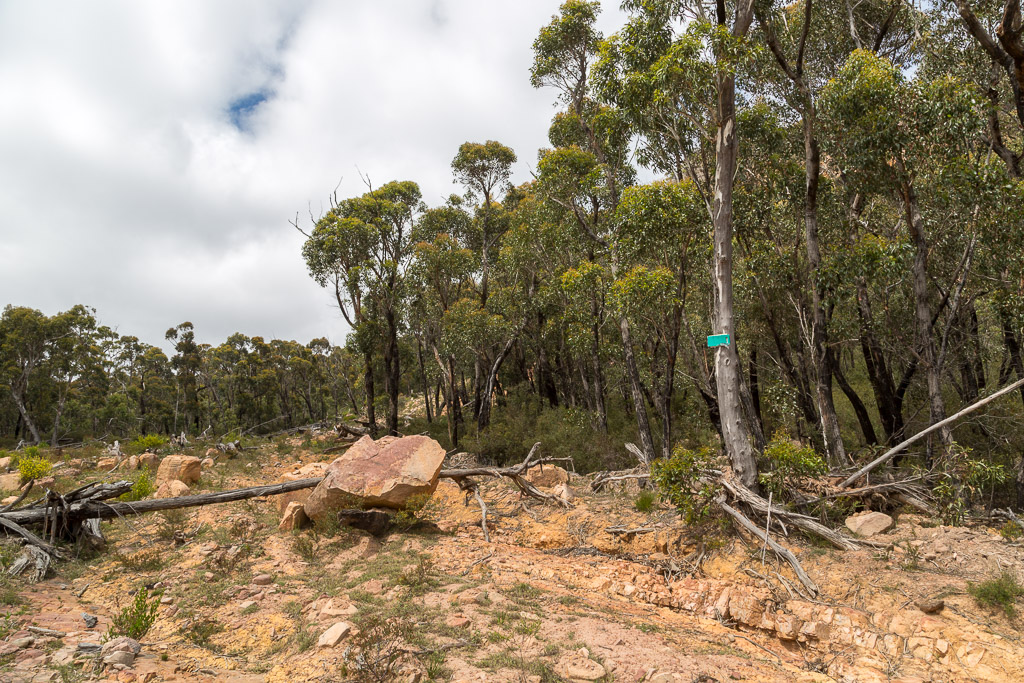 marker-on-tree-cathedral-rock-grampians
