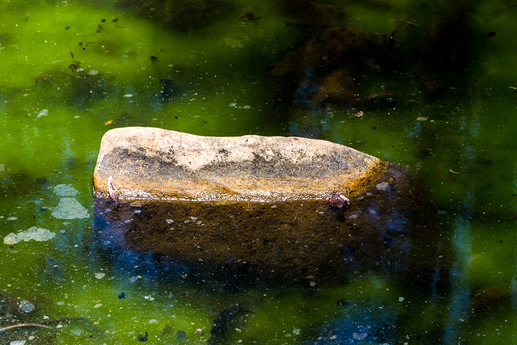 rock=green-water-pyrites-creek