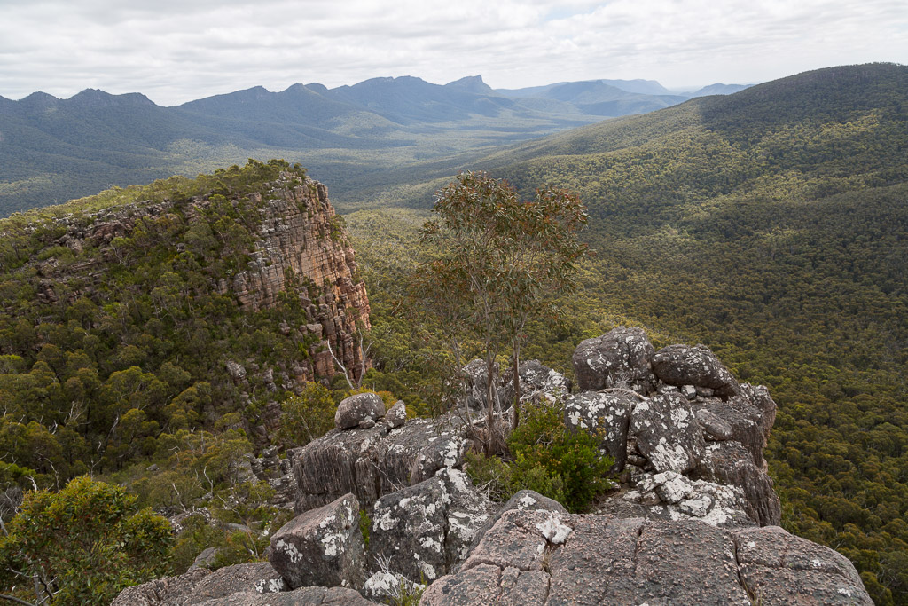 view-north-from-cathedral-rock-grampians