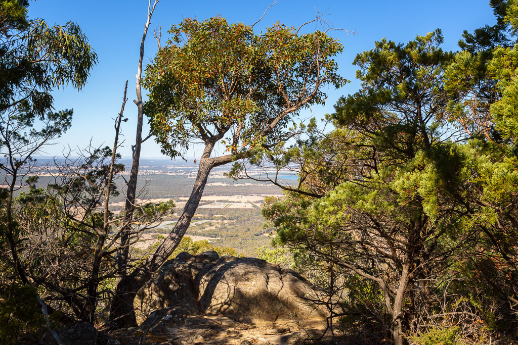 rock-trees-view-boronia-peak-grampians
