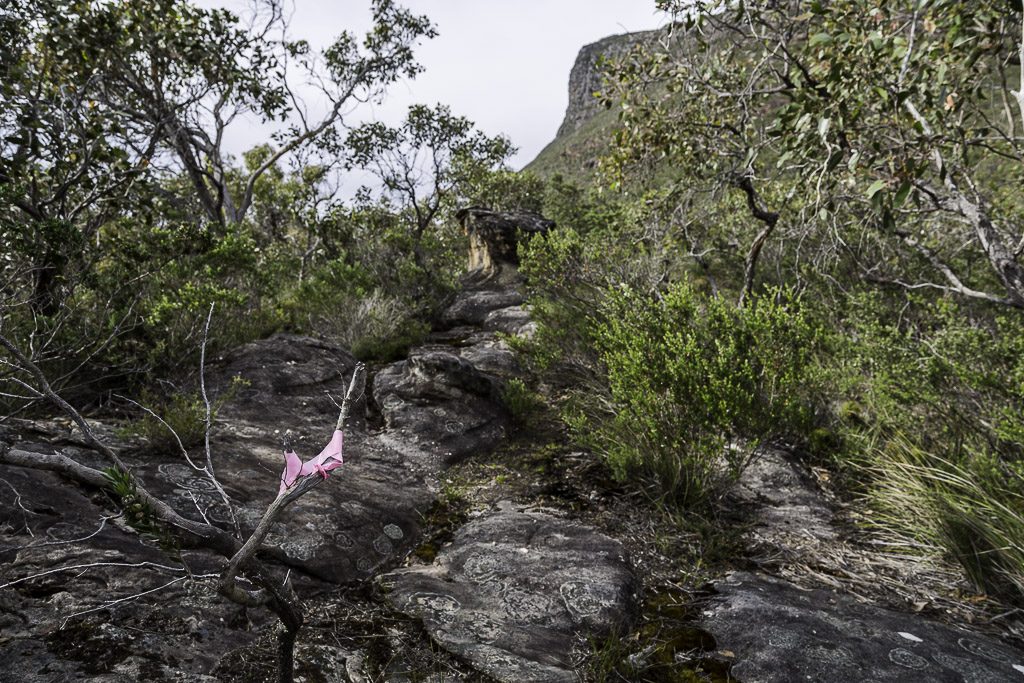 pink-tape-signal-peak-grampians-national-park