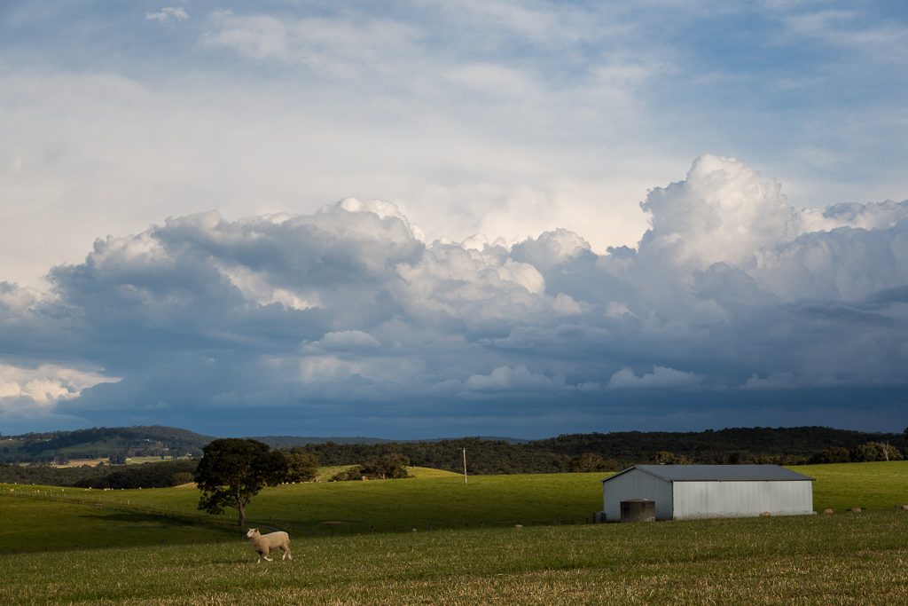 storm-clouds-over-field