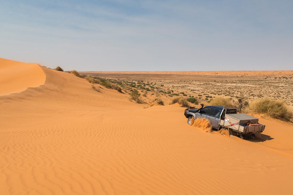 atop_big_red_sand_dune_simpson_desert